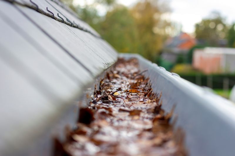 Clogged Gutter Overflow